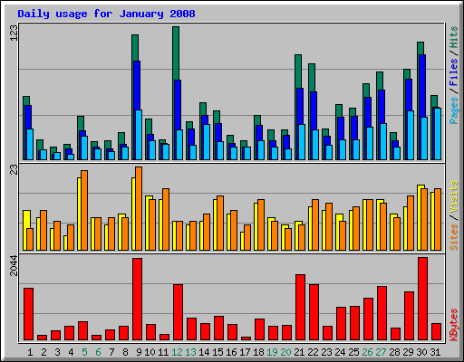 Daily usage for January 2008