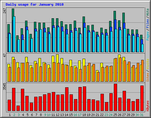 Daily usage for January 2010