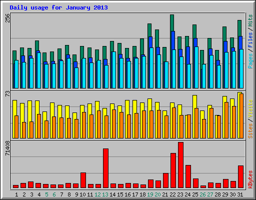 Daily usage for January 2013