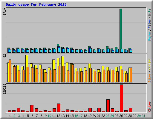 Daily usage for February 2013