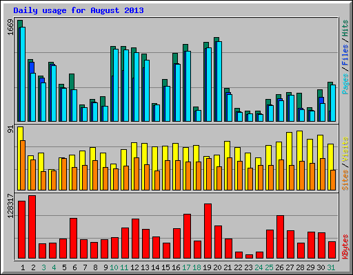 Daily usage for August 2013