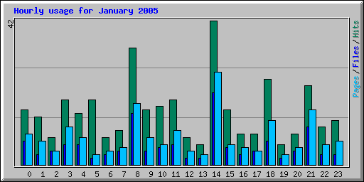 Hourly usage for January 2005