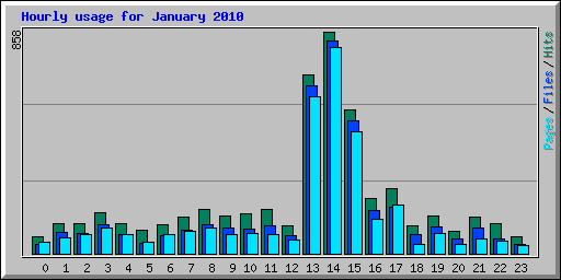 Hourly usage for January 2010