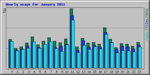 Hourly usage for January 2011