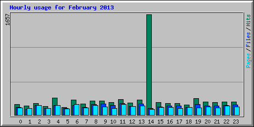 Hourly usage for February 2013