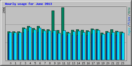 Hourly usage for June 2013