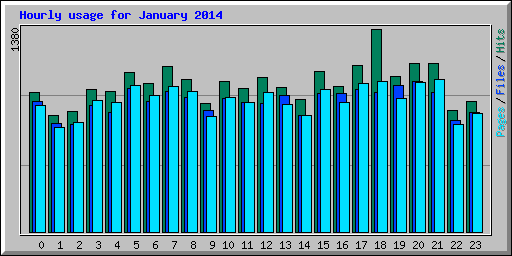 Hourly usage for January 2014